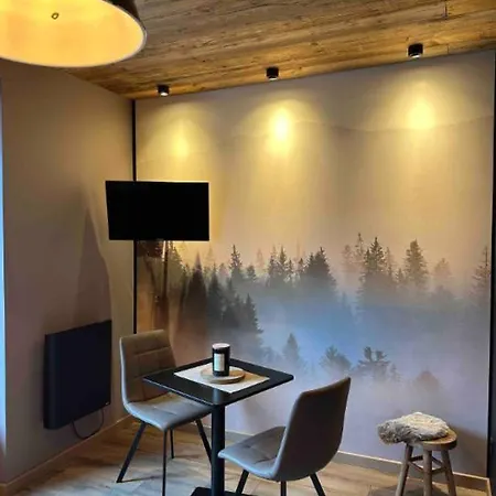 Façon Montagnard - Hyper Centre Appartement Gérardmer